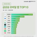 로얄의류쇼핑 이미지