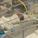 미즈제일산후조리원 | 대전 유성 미즈제일산후조리원 S1 9박 7일 후기