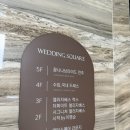 W.15 전주 웨딩스퀘어 드레스피팅 후기 | 신상드레스 피팅 + 꿀팁공유