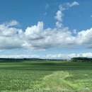 (주)준메디슨 이미지