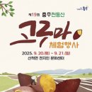 천등박달로 128(산척면) 네이버블로그