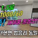 통일동산펜션