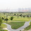 진해구 ⓒ-1 이미지