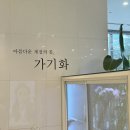 가기화 - 7276 | 창원 롯데백화점 꽃집 가기화 상남동 꽃다발