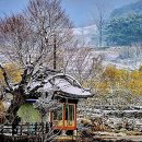 김영식공인중개사사무소 네이버블로그