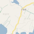 양지팬션 이미지