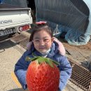 성남초등학교 옆 이미지