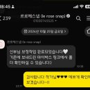 르로제스냅 아이폰스냅 웨딩시그니처 본식 촬영 후기 + 르로제프렌즈 짝꿍코드