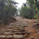 능선길 118 이미지