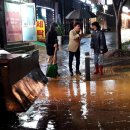 큰별초등학교 앞 이미지