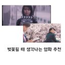 다가코가 이미지