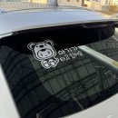 조이블루하우스 이미지