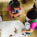 괴안어린이집 이미지