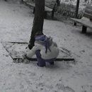포라인정보 티스토리