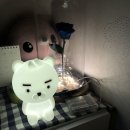 손오공농장 이미지