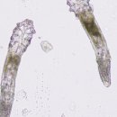 백제약국 이미지