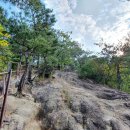 정류소매점 이미지