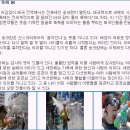 [[송크란축제]젊음의거리♥RCA♥즐기는방콕/파타야 6일] 이미지