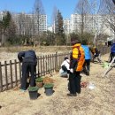 용봉초록 습지공원 산책로 꽃길조성 이미지