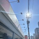 무궁화건영 | 군산 극기 훈련