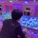쌍사뽑기방 네이버블로그