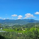 둘레길황토방민박 이미지