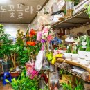 오이도플라워
