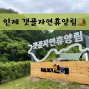 갯골자연휴양림 인제 7성급 국립 신생 계곡 오토캠핑장