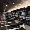 강남대로 279 이미지