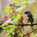 한성백제역 2번출구 앞 이미지
