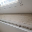 대명종합가스 | 부산동구청소업체 , 부산청소업체추천 '대명종합청소' 후기 !