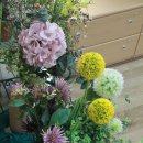 노틀담유치원 이미지