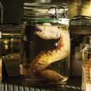 A WORLD TOUR WITH CM 이미지