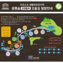 6월18일(화) ‘광릉 숲길’ 트레킹 번개(취소!) 이미지
