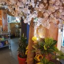 일미해물찜 이미지