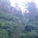 월곡2리 이미지