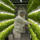 만우농장 이미지