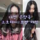 행운미용실 | 대전 은행동 소호헤어1호점 미용실 매직후기