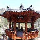 야호캠프 이미지