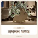 러블리점핑 - 진주시 | 라비베베 점핑볼 I 집콕놀이 필수템 연년생 남매가 푹 빠진 점핑볼 후기