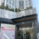 [마을배움터] 아로마 건강교실 | 서초모자보건지소 출산준비교실 강의 후기(산전 필라테스, 신생아 목욕, 모유수유, 라마즈 호흡법, 애착...