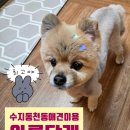 오늘도, 아름답개 네이버블로그