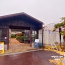 성읍초등학교 | 제주도 비올때 실내 가볼만한곳 표선 김정문알로에숲 가는길