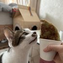 호아빈 군자역점 이미지