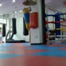 이장선 복싱다이어트 이미지