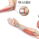 리두컴퍼니 이미지