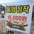 바베큐소풍
