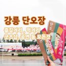 2023 강릉단오제 | 단오장 한바퀴 (각종부스, 공연, 체험, 오락거리, 먹거리)