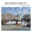 마운틴262 | 홍천 비발디파크 숙소 B동 후기 아이랑 2박3일 조식 뷔페까지 솔직 리뷰