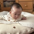 영일당한의원 이미지